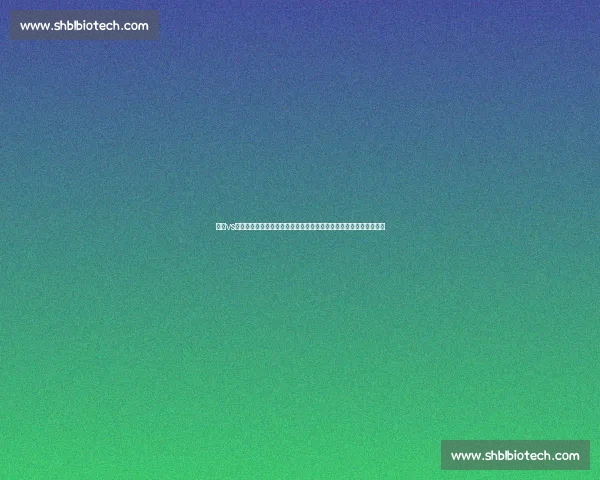 皮蓬vs时代巨星之争谁才是被低估的全能传奇在篮球历史中的真实价值评判
