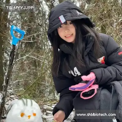 孔帆珩